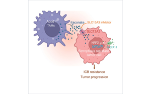 Cancer Cell發現了一些癌癥對免疫治療沒有反應的關鍵原因：代謝機制阻礙免疫反應