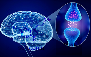 Nature提出了第一個直接證據(jù):支持幾十年前的多巴胺-血清素對立假說 Nature提出了第一個直接證據(jù):支持幾十年前的多巴胺-血清素對立假說