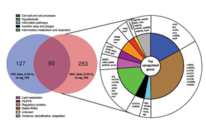 PNAS:萬萬沒想到,結核桿菌自己提供促進空氣傳播的基因 PNAS:萬萬沒想到,結核桿菌自己提供促進空氣傳播的基因