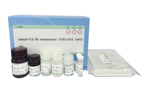 西寶生物隆重推出兩款蛋白酶檢測試劑盒 - 精準檢測，賦能生物制藥質量控制