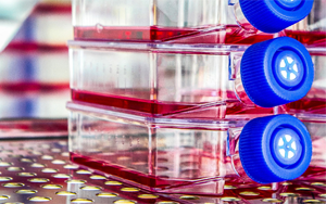 生物制藥與疫苗生產中的細胞培養全流程解決方案 生物制藥與疫苗生產中的細胞培養全流程解決方案