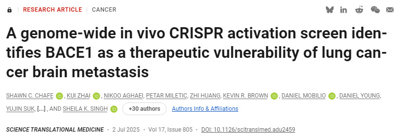 CD4+ T細胞允許庫普弗細胞逆轉肝細胞啟動誘導的CD8+ T細胞功能障礙 CD4+ T細胞允許庫普弗細胞逆轉肝細胞啟動誘導的CD8+ T細胞功能障礙