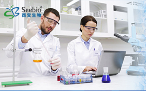表面活性劑家族，種類齊全 常備現貨