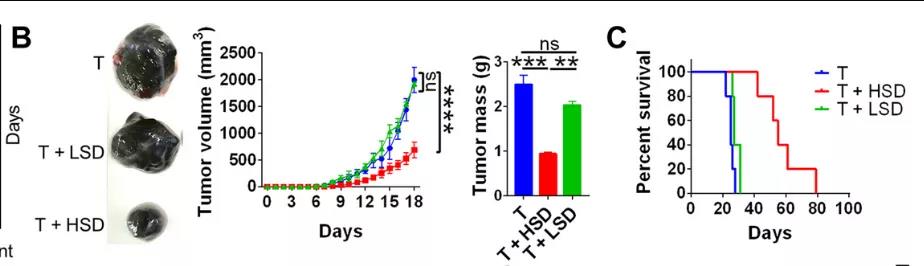鹽要漲價了！Science子刊揭示：高鹽飲食或可誘導有效的腫瘤免疫！