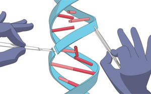 Nature Biotech：不受序列限制，精確切割DNA