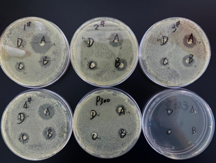 西寶生物KroVin300防腐劑抑菌實驗和效果 - 細(xì)菌篇