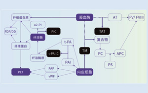 血栓調節蛋白(TM)-磁微粒化學發光法(AE/AP)解決方案 血栓調節蛋白(TM)-磁微粒化學發光法(AE/AP)解決方案
