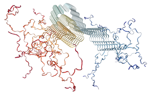 PNAS:一種新的檢測方法有望早期發(fā)現(xiàn)帕金森病 PNAS:一種新的檢測方法有望早期發(fā)現(xiàn)帕金森病