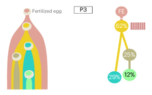 Nature Biotechnology:精確測(cè)量癌癥的進(jìn)化,定義分析腫瘤基因組成的最佳算法 Nature Biotechnology:精確測(cè)量癌癥的進(jìn)化,定義分析腫瘤基因組成的最佳算法