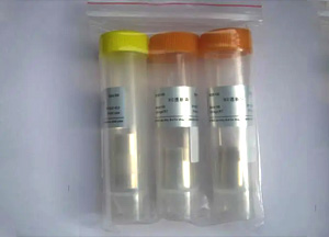 經濟型透析袋，RC膜，14 KD，扁平寬度77 mm