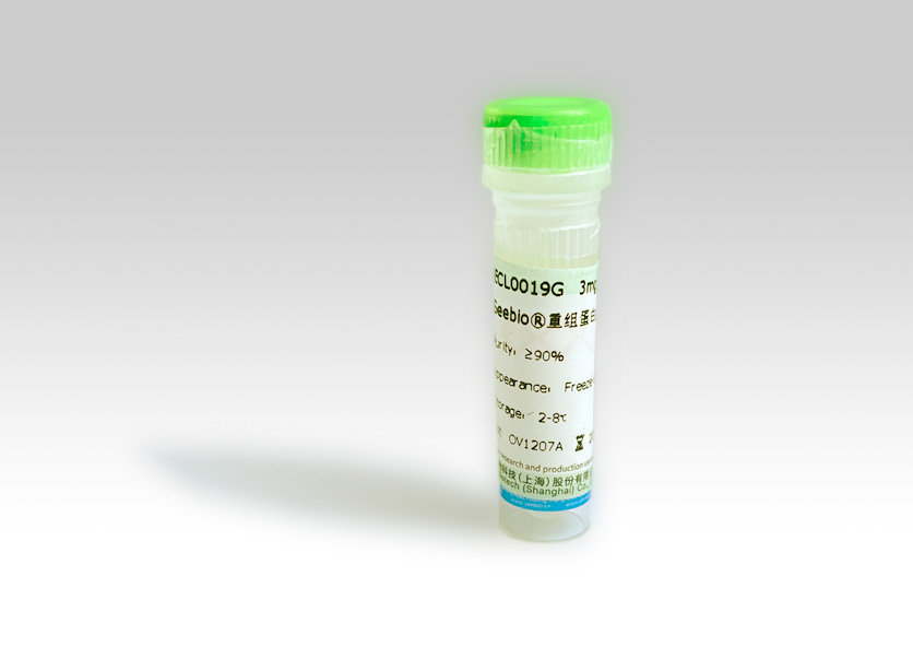 Seebio? 重組蛋白A（rProtein A，ZZZ-HS型）