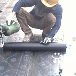 蘇州房屋防水補漏與漏水維修工程專業(yè)指南