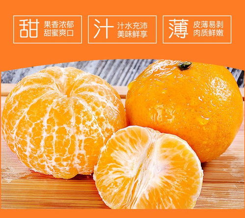 武鳴沃柑 新鮮應(yīng)季的甜蜜之選，打造健康果盤新風(fēng)尚